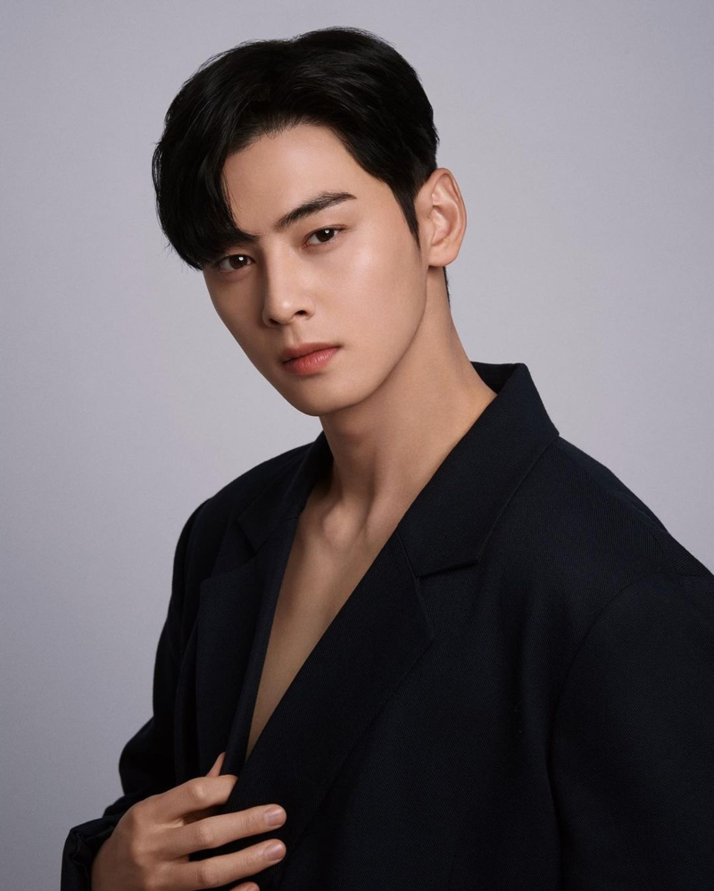 Fakta Unik Cha Eun Woo, Aktor Yang Dijuluki Face Genius