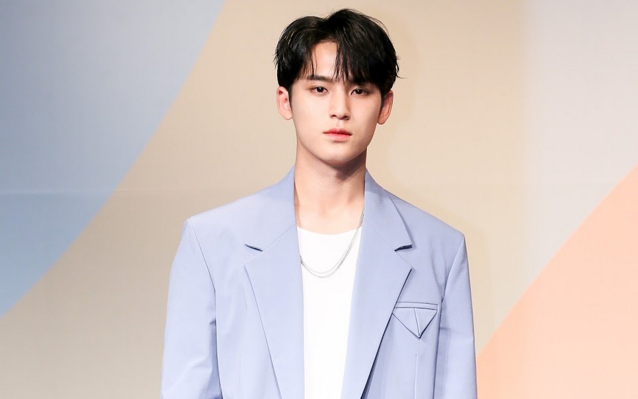 Paling Teledor di Grup, Cek Biodata dan Fakta Menarik Mingyu