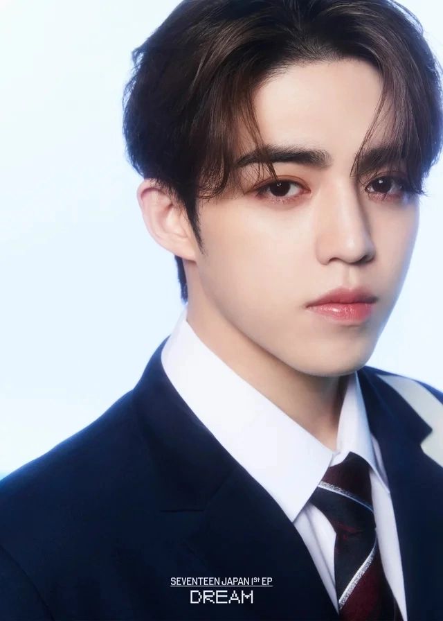 Profil & Fakta S.coups SEVENTEEN