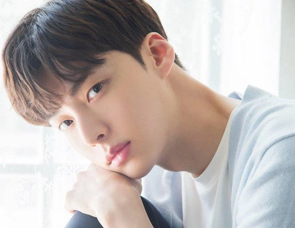 Reunian Lewat MV, Ini Profil dan Fakta Ahn Jae Hyun